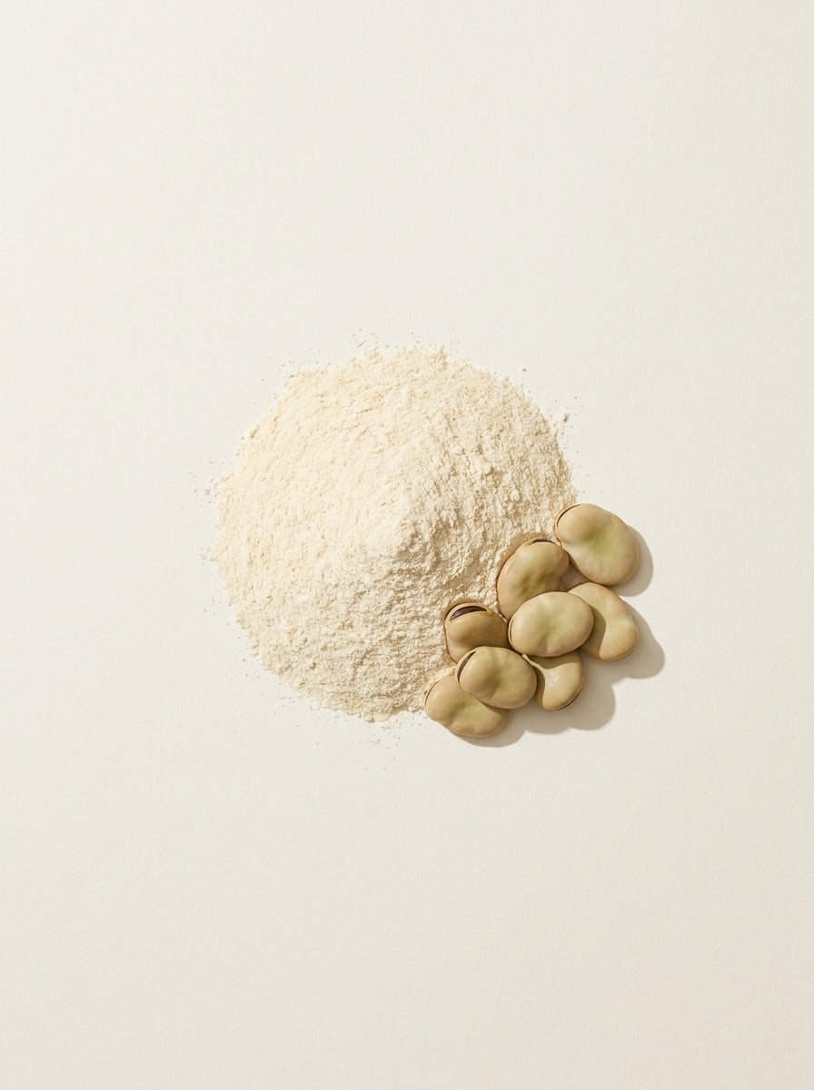 Fava Bean Protein Isolate
