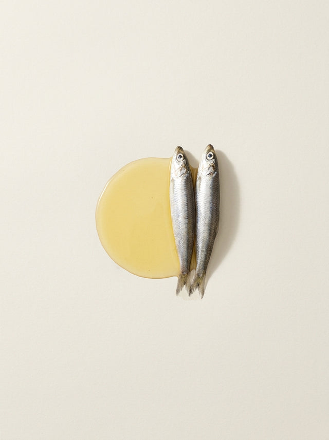 Fish Oil Concentrate