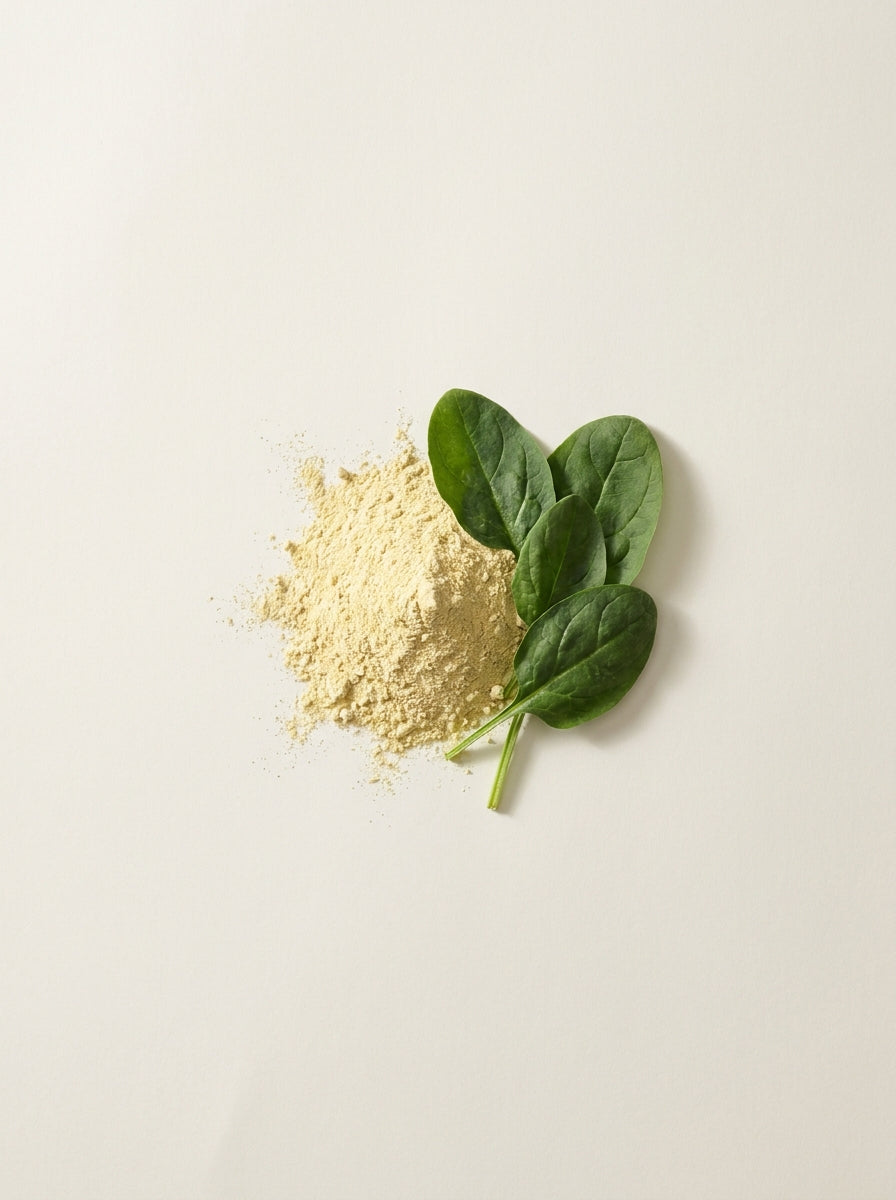 Folate (5-MTHF, Calcium Methyltetrahydrofolate)