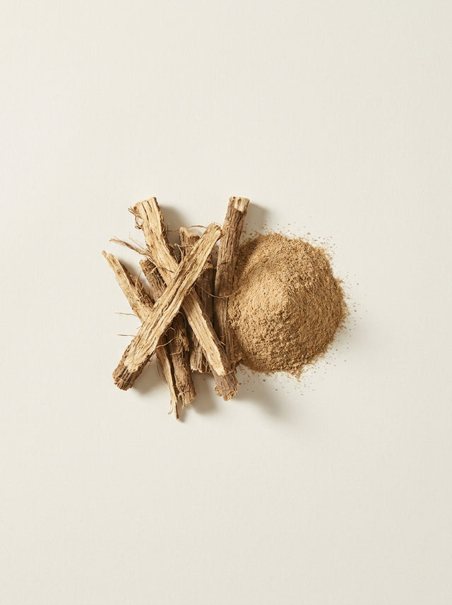 Resveratrol Extract (Japanese Knotweed)