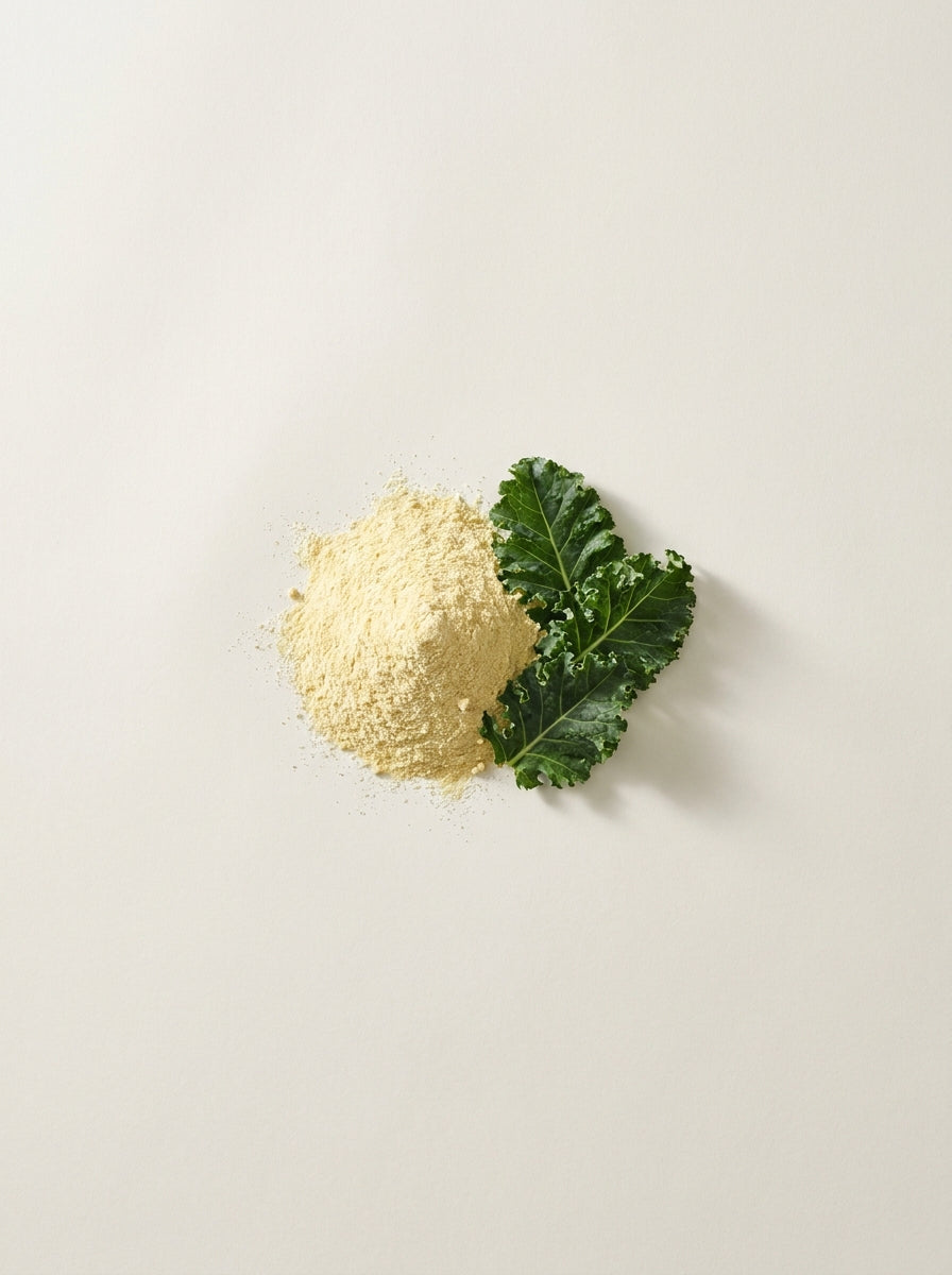 Vitamin K1 (Phylloquinone)