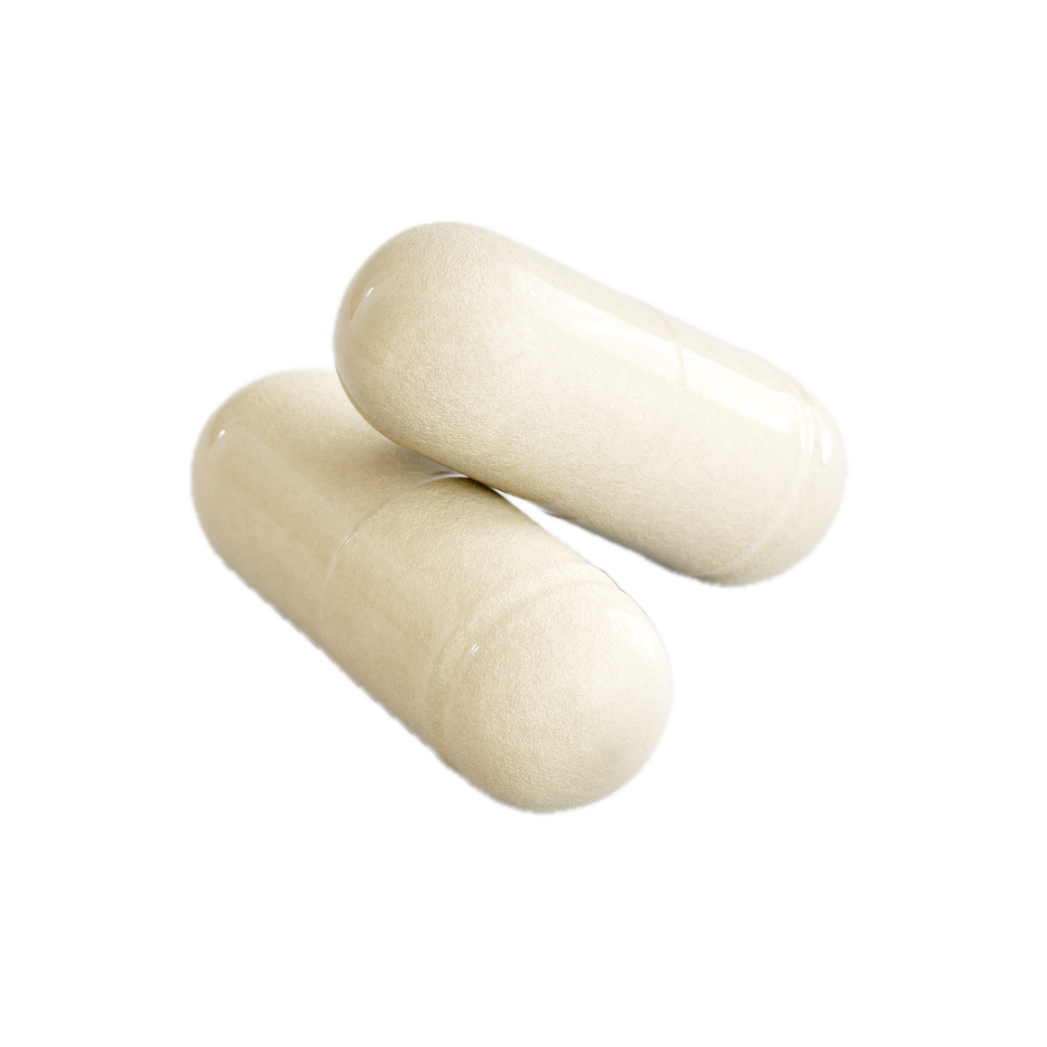 Electric Tiger Probiotic 20 Billion CFU bottle, side view