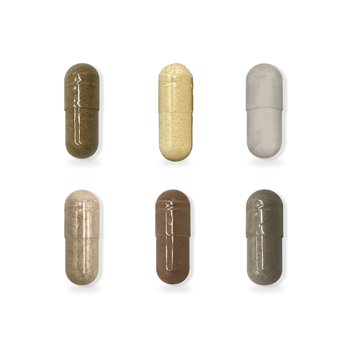 Ginger & Rhodiola Pack: the supplements in each daily pouch