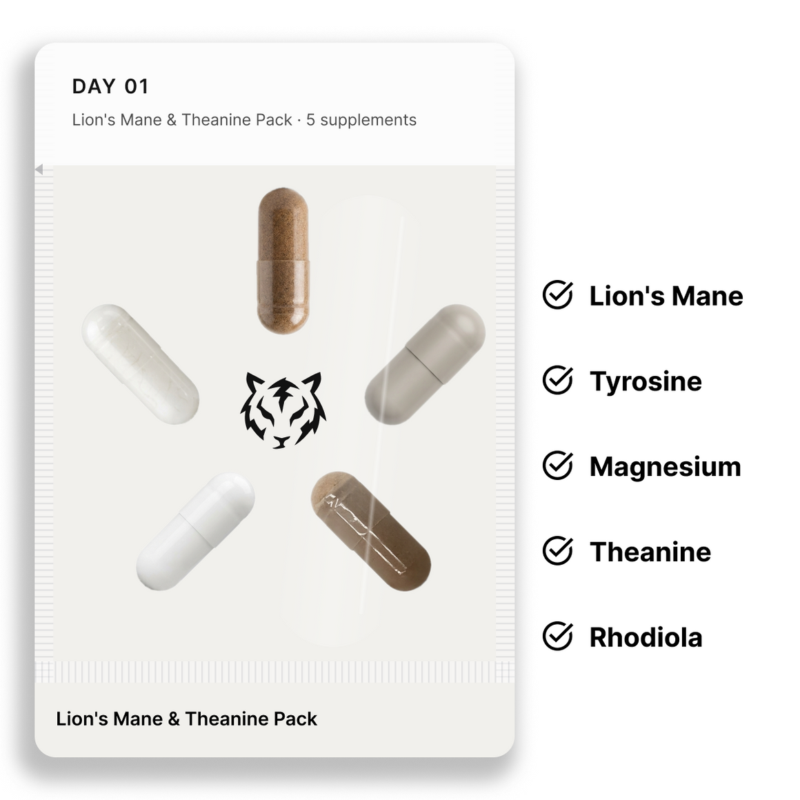 Lion's Mane & Theanine Pack: one daily pouch and the 5 supplements inside it