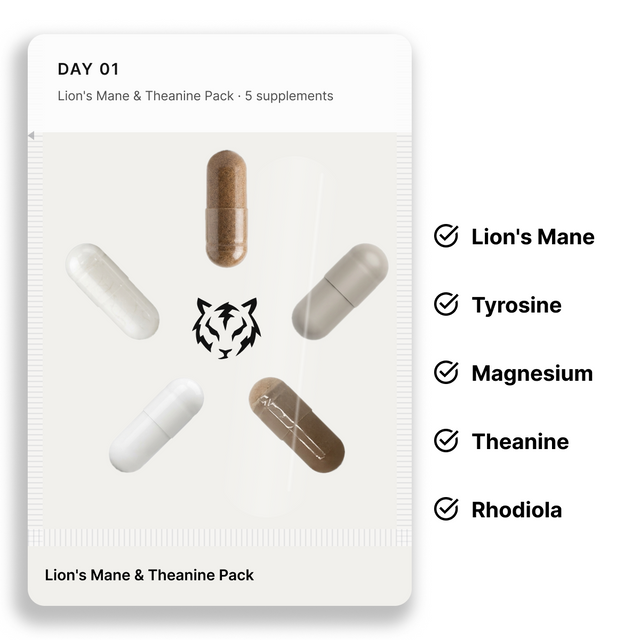 Electric Tiger Lion's Mane & Theanine Pack bottle