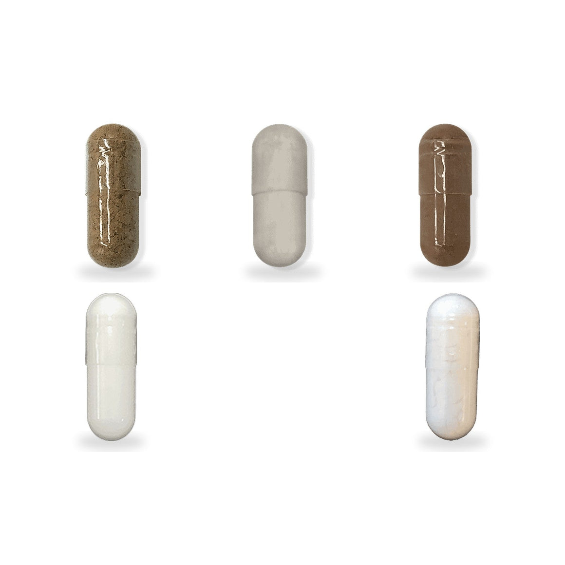 Lion's Mane & Theanine Pack: the supplements in each daily pouch